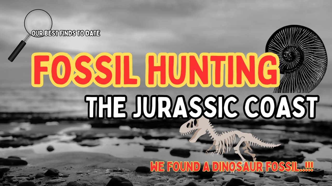 Fossil Hunting Lyme Regis & Charmouth Along The Jurassic Coast! We Found A Ichthyosaurs Vertebrae!