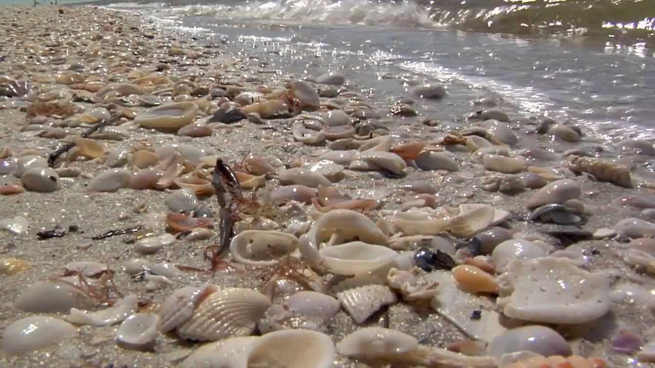 Vanderbilt Beach Park, Naples FL