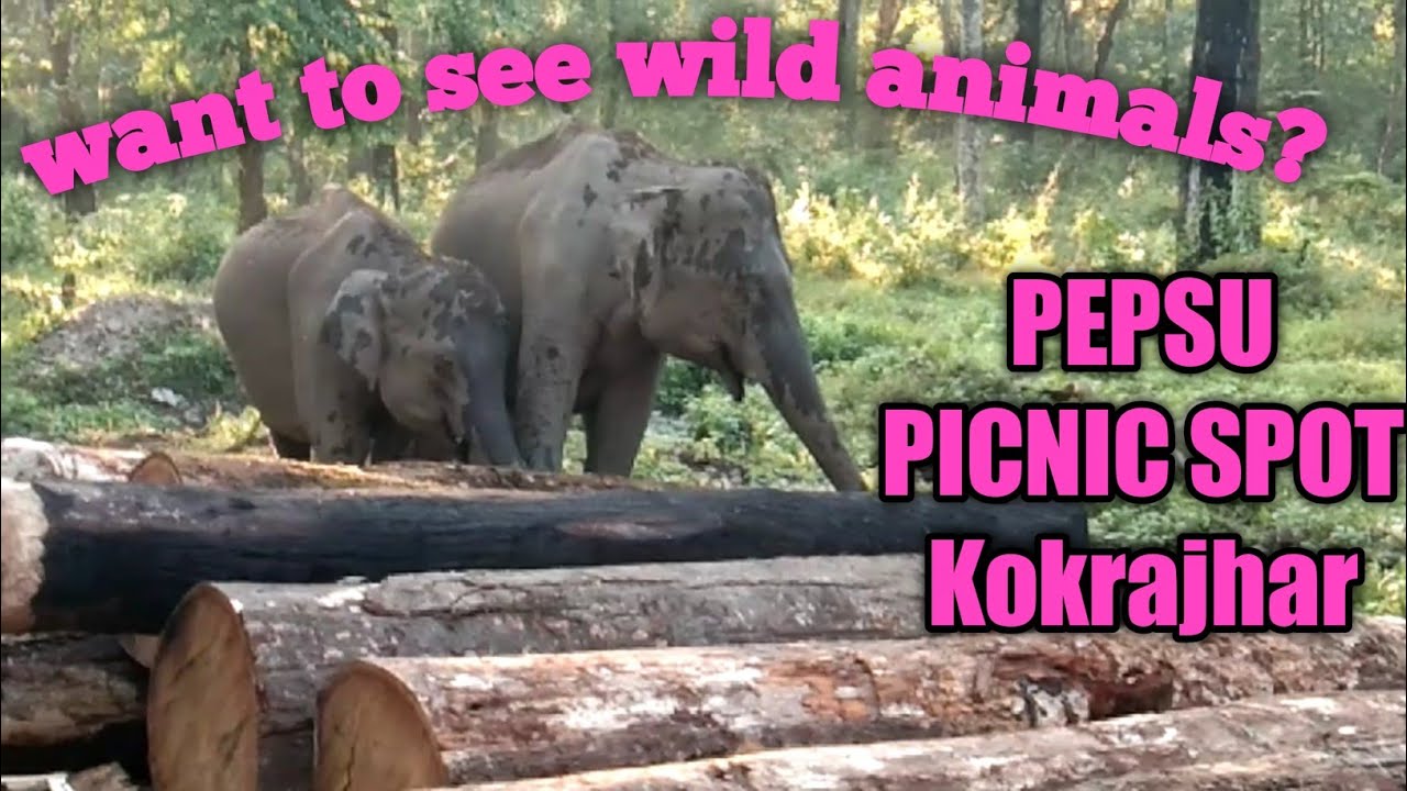 Pepsu Picnic spot Kokrajhar