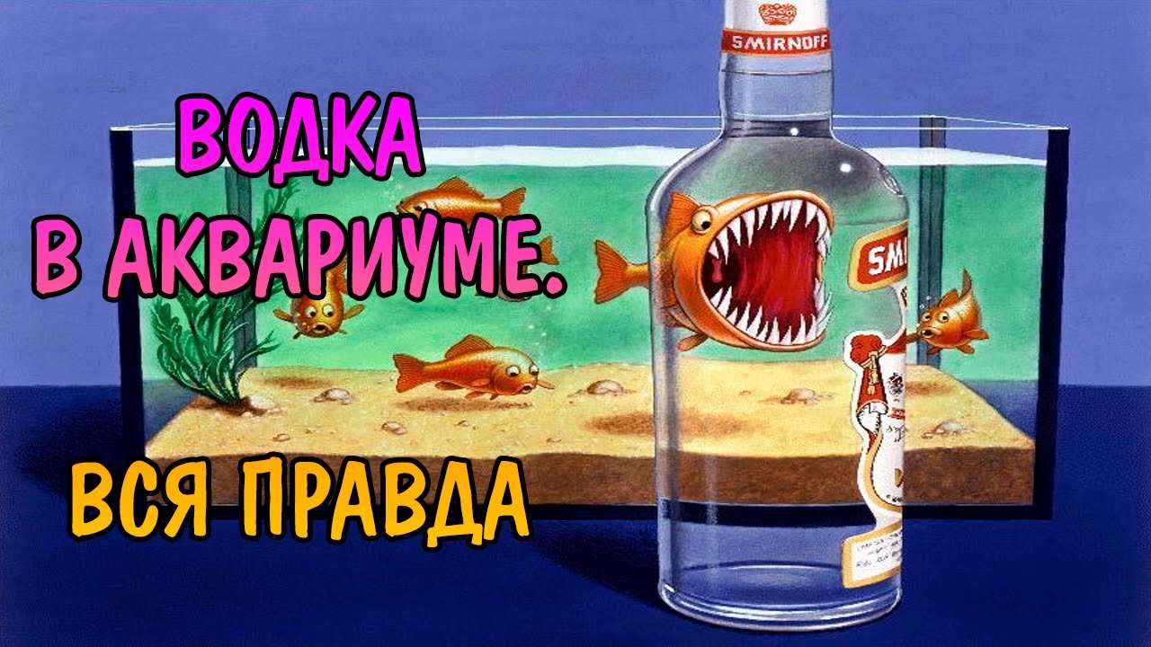 ВОДКА В АКВАРИУМЕ. СПИРТ. ВСЯ ПРАВДА