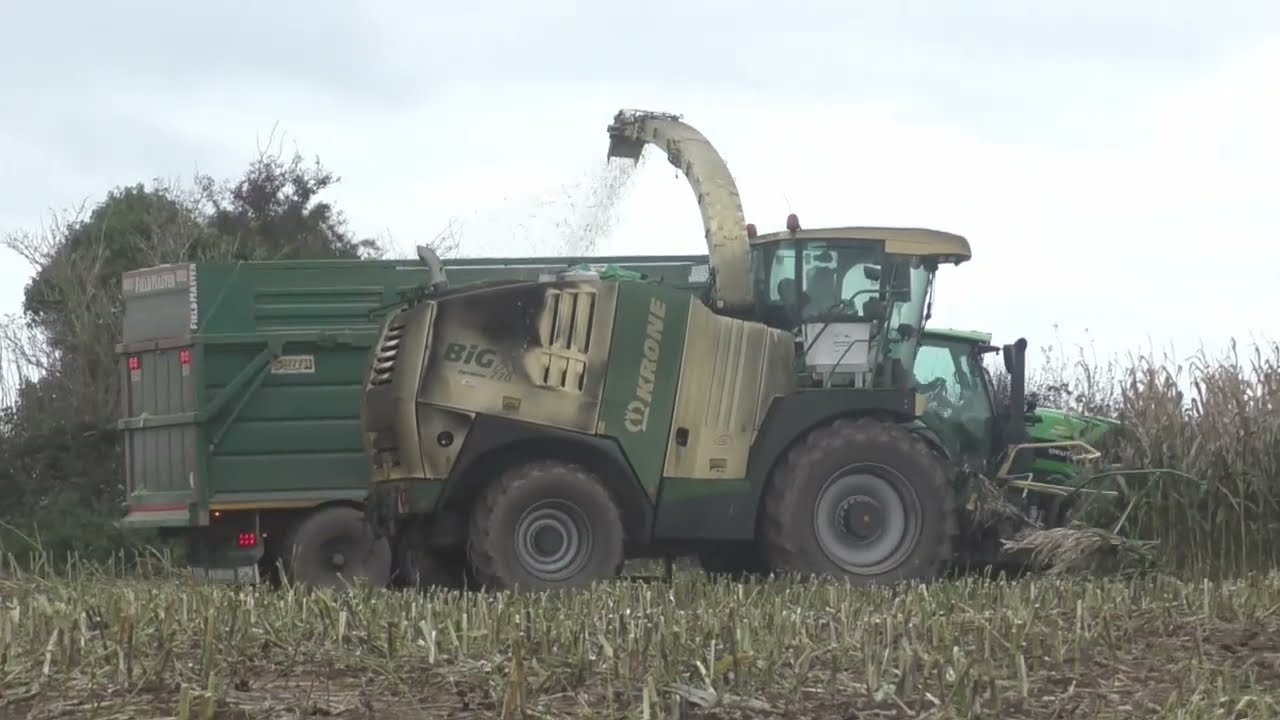 Maize 2024 AG Ross Agri