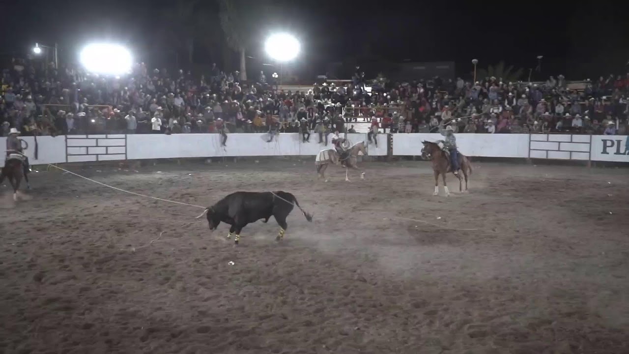 Jaripeo de Fiestas Patronales Las Trojes 2026 Con Rancho el 7