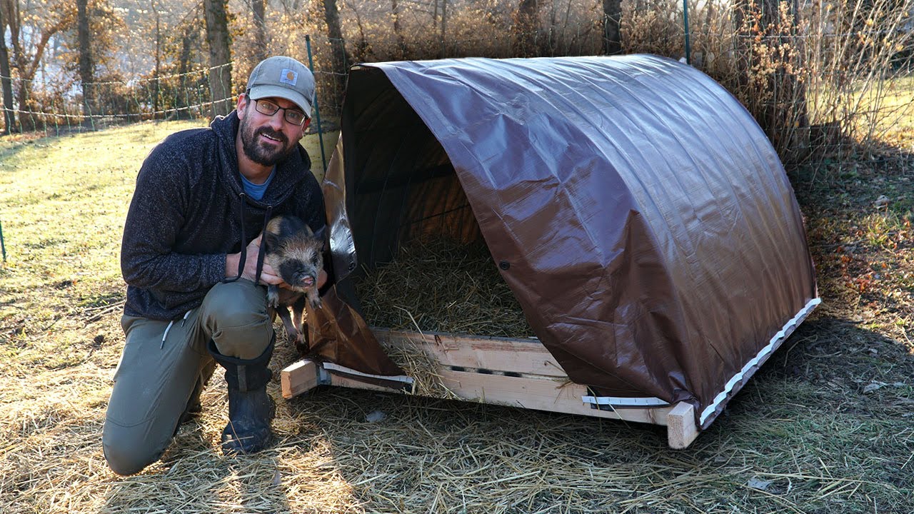 Build a PIG HOUSE in 1 HOUR for less than $50!