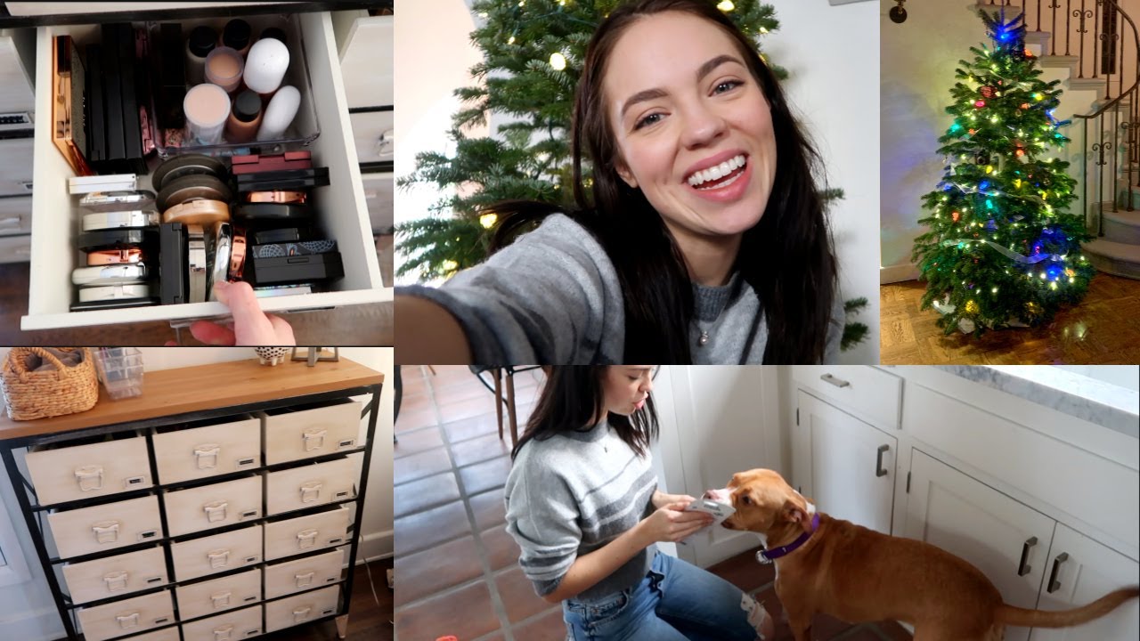 WE GOT A TREE & How I Organize My Makeup!