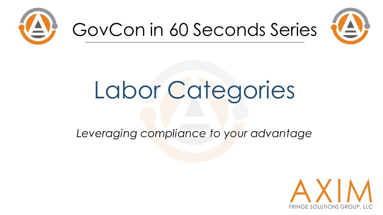 Government Contracting - Labor Categories