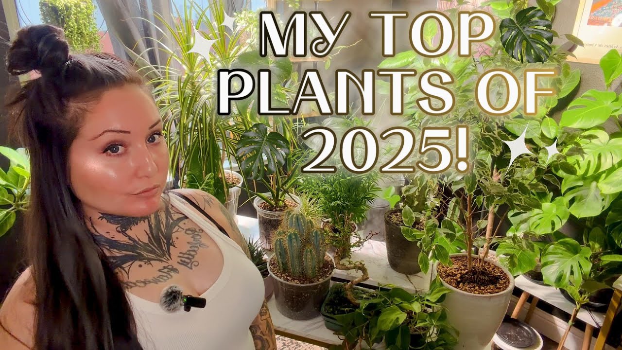 My Top Fav Plants of 2025 | Happy New Year!