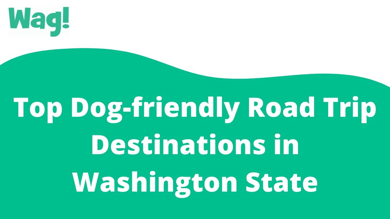 Top Dog-friendly Road Trip Destinations in Washington State | Wag!