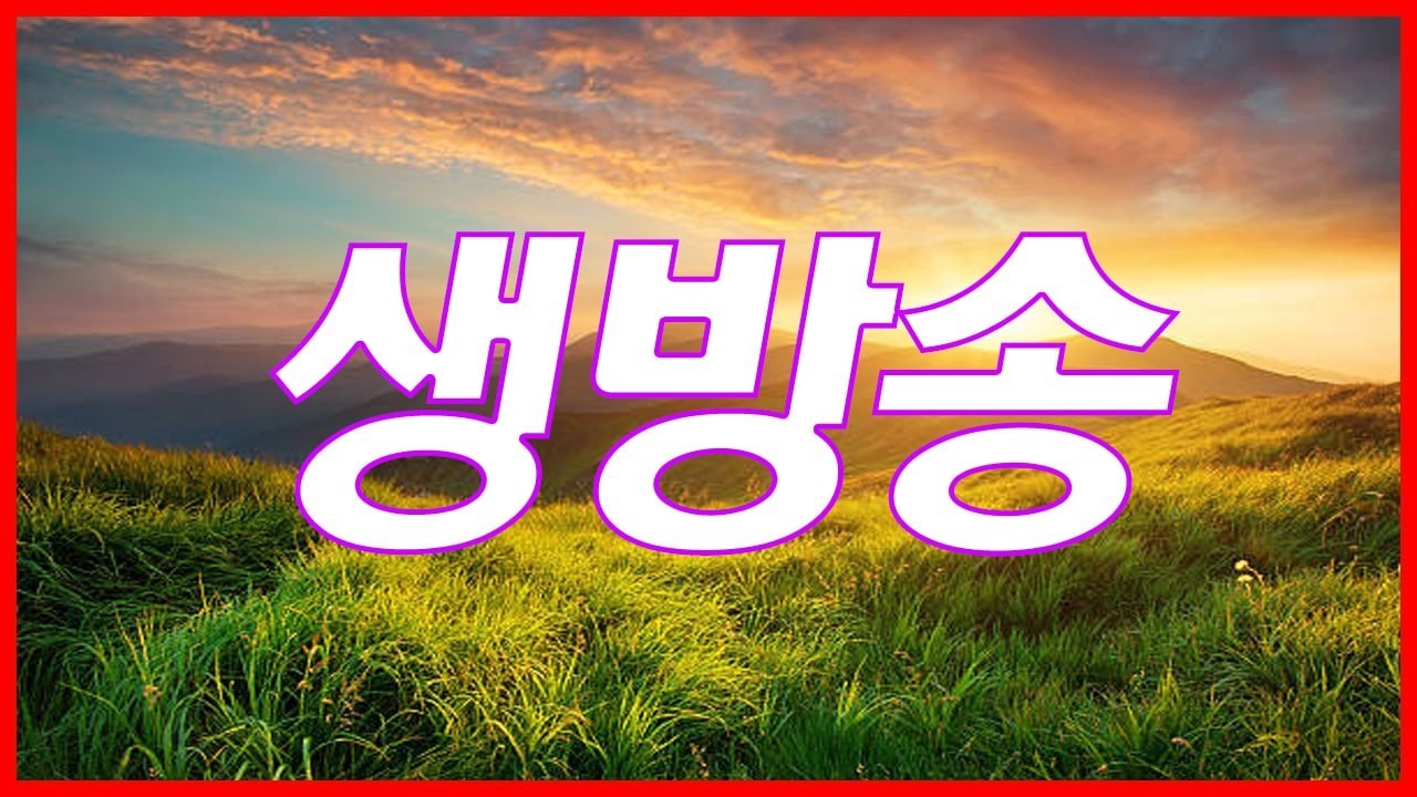 [바카라방송] 마댬 생방송 #바카라방송