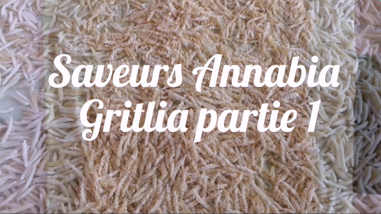 Recette de la pâte de gritlia (وصفة عجينة القريتلية)