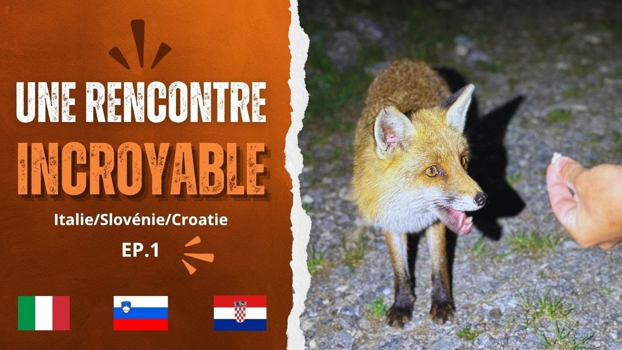 Premier bivouac en Italie : un renard nous rend visite + galère de pneu... (Roadtrip 4x4 Europe EP1)