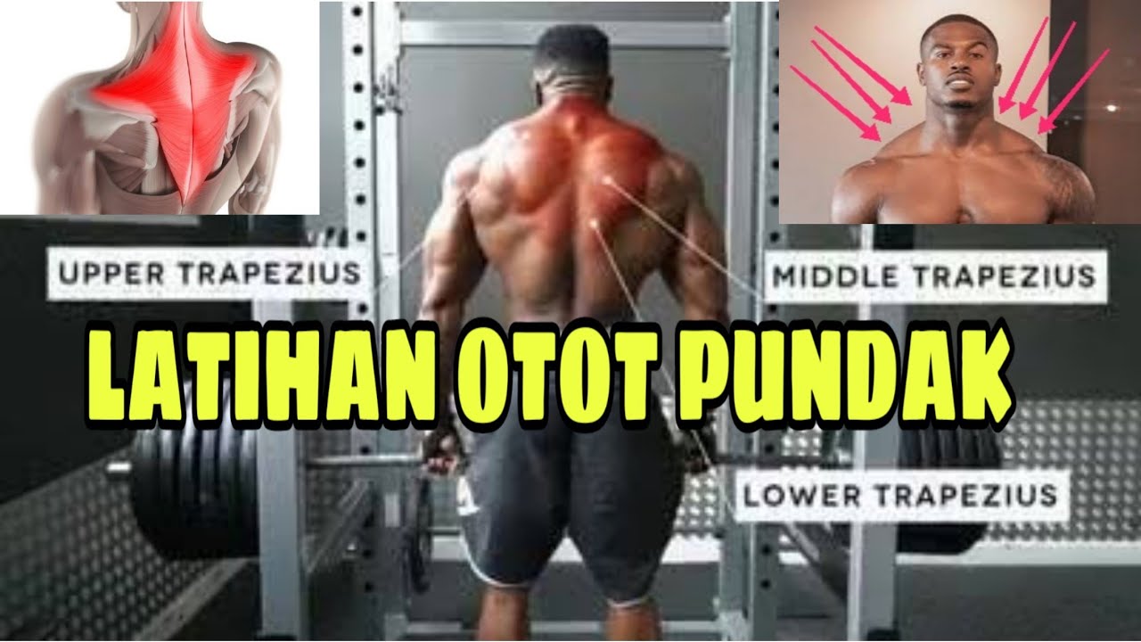 9 GERAKAN UNTUK MELATIH OTOT TRAPEZIUS LENGKAP | LATIHAN PUNDAK | CYBER GYM