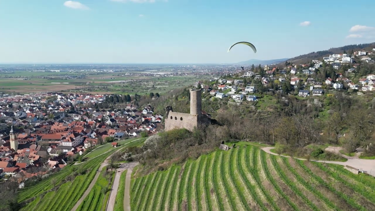 Schriesheim Castle and Vineyards