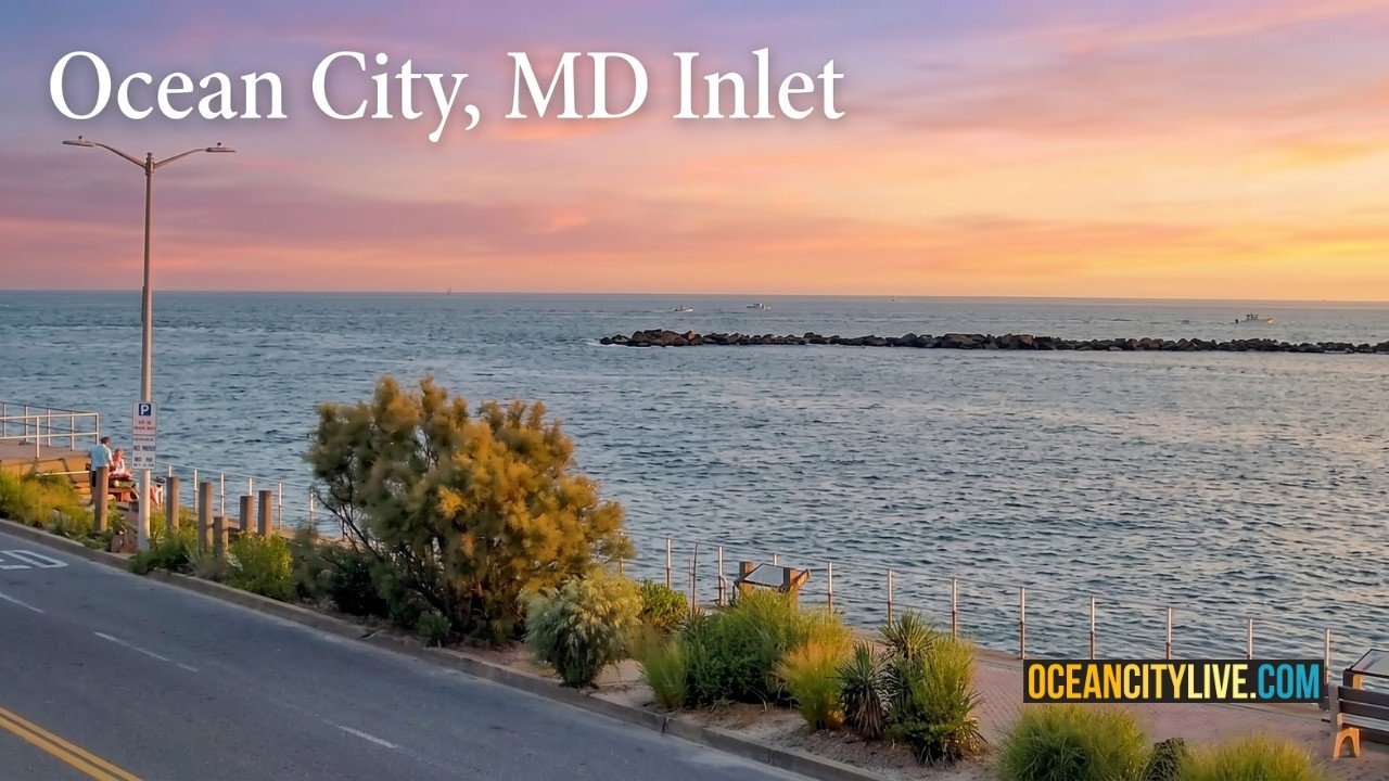 Ocean City MD Live Cam | Inlet View from The Wedge Bar