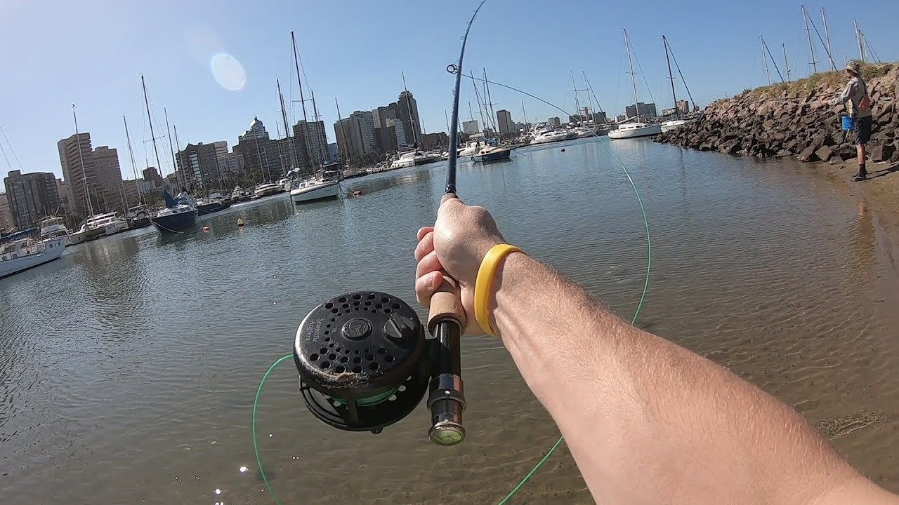 Fly Fishing durban harbour