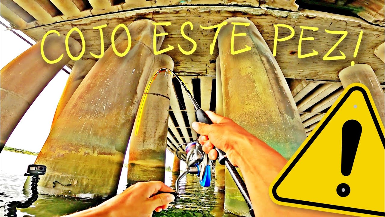 ⚠️​ PEZ GRANDE cuando MENOS LO ESPERABA [Spinning bajo PUENTE]