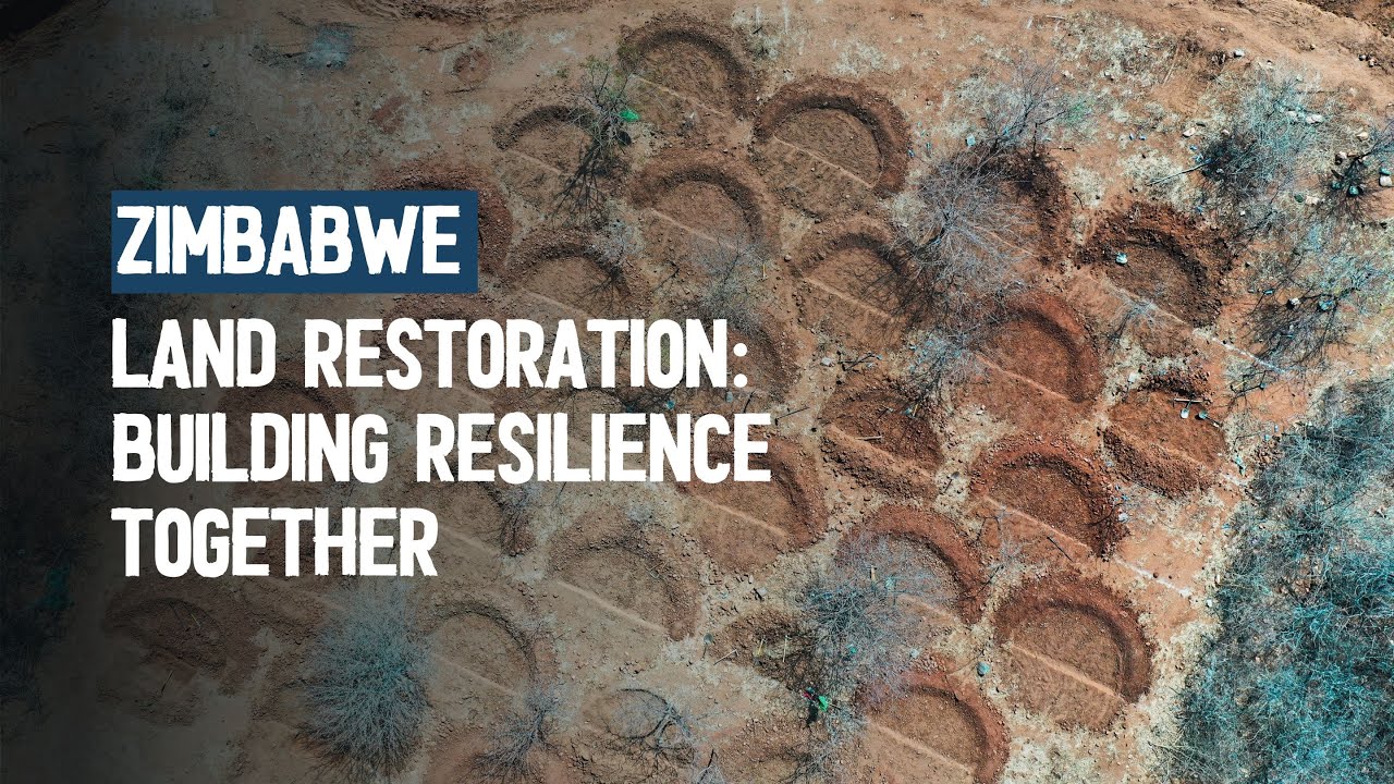 Restoring the Land, Renewing Hope: Empowering Communities in Zimbabwe