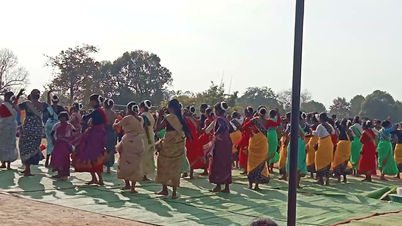 कोरिया सरगुजा झूमे 🙏🙏🙏🥰🥰❤️❤️👍👍