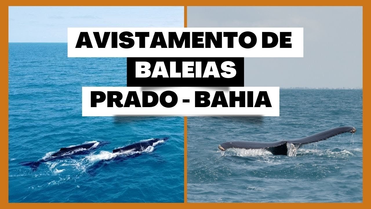 FIZEMOS O PASSEIOS MARÍTIMO DE AVISTAMENTO DE BALEIAS JUBARTES, EM PRADO - BA.