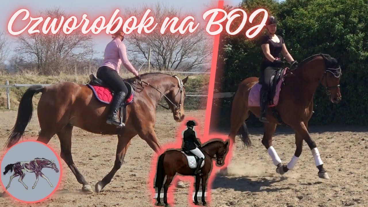 BRĄZOWA ODZNAKA JEŹDZIECKA - ujeżdżenie, czyli czworobok na BOJ.
