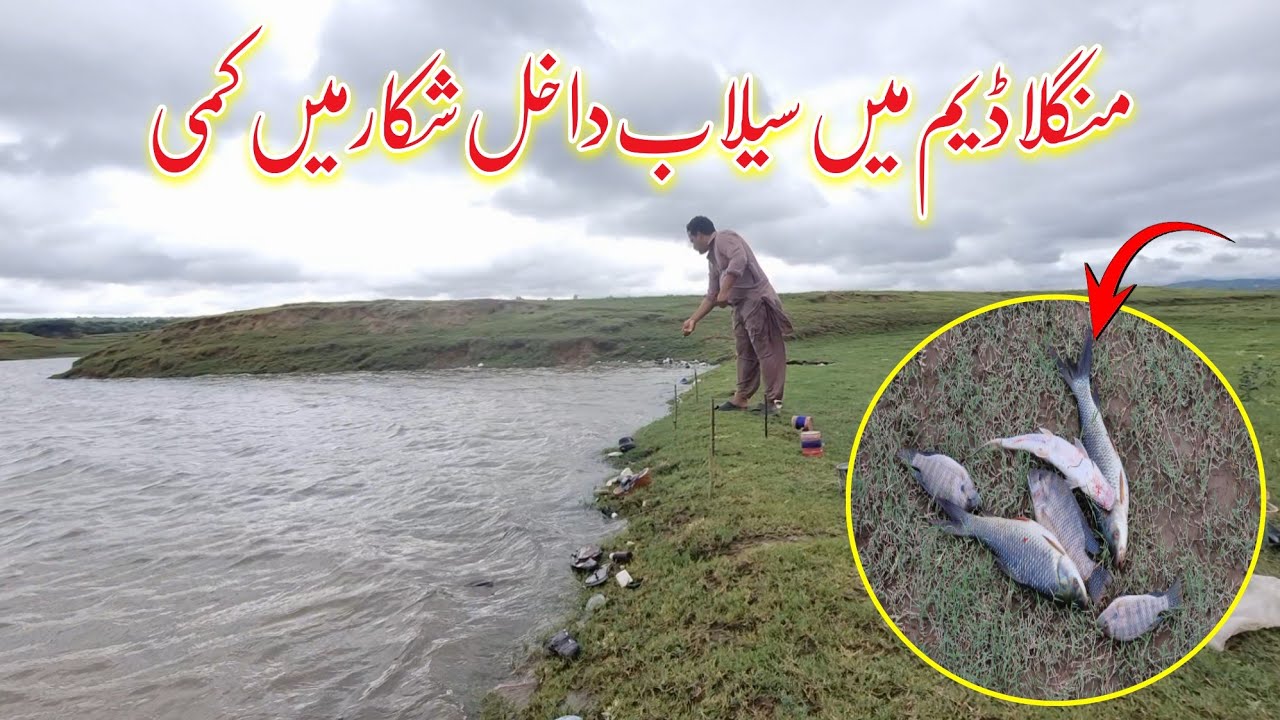 Mangla Dam Mein Selaab Dahal Shikar Mein Kafi Kami 😯