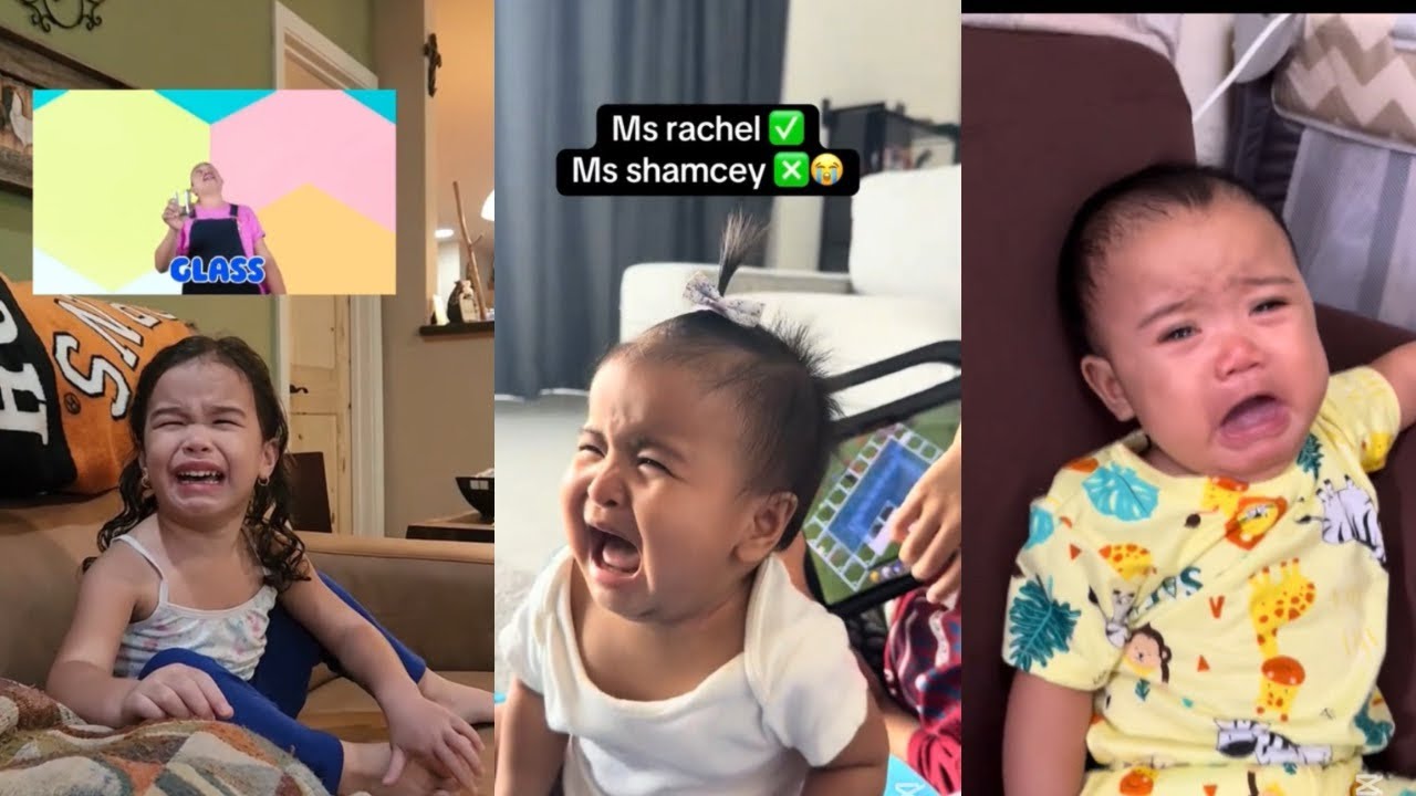 Babies funny reaction to Ms Shamcey // Angry Ms Rachel // Funny compilations