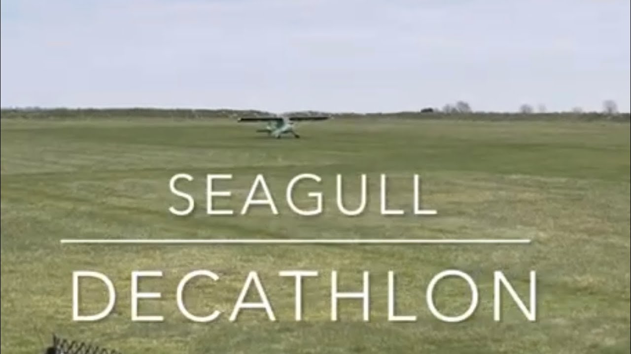 Seagull Decathlon