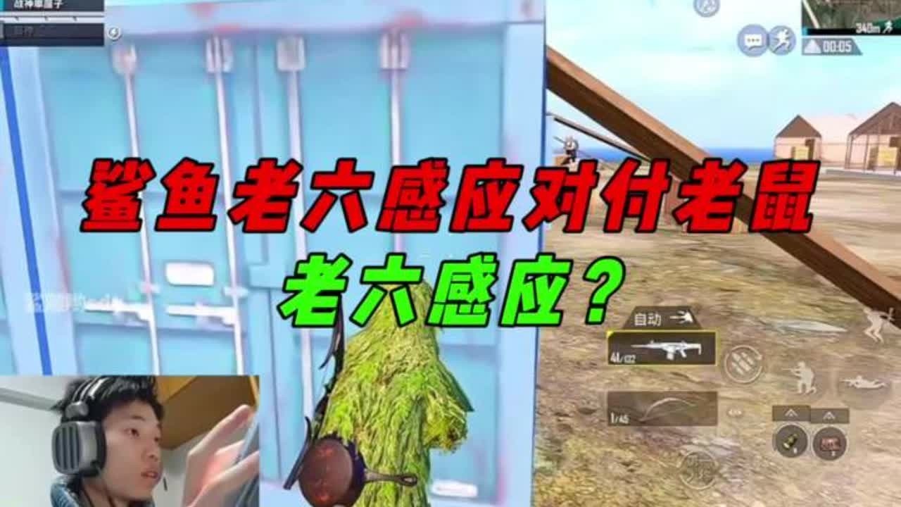 《鲨鱼老六感应制裁老鼠，决赛圈扛毒打法险吃鸡？》 #和平精英 #游戏解说 #青年创作者成长计划 #和平巅峰主播杯#和平精英模拟器