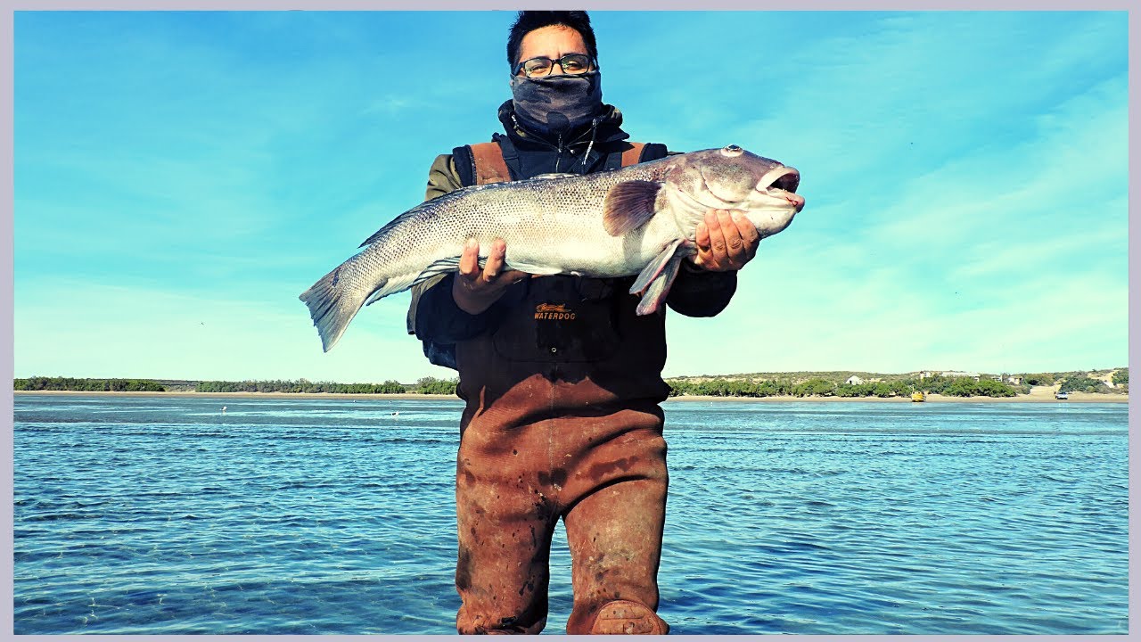 Pesca de Salmon en Golfo San Jose -  Chubut - Patagonia Argentina