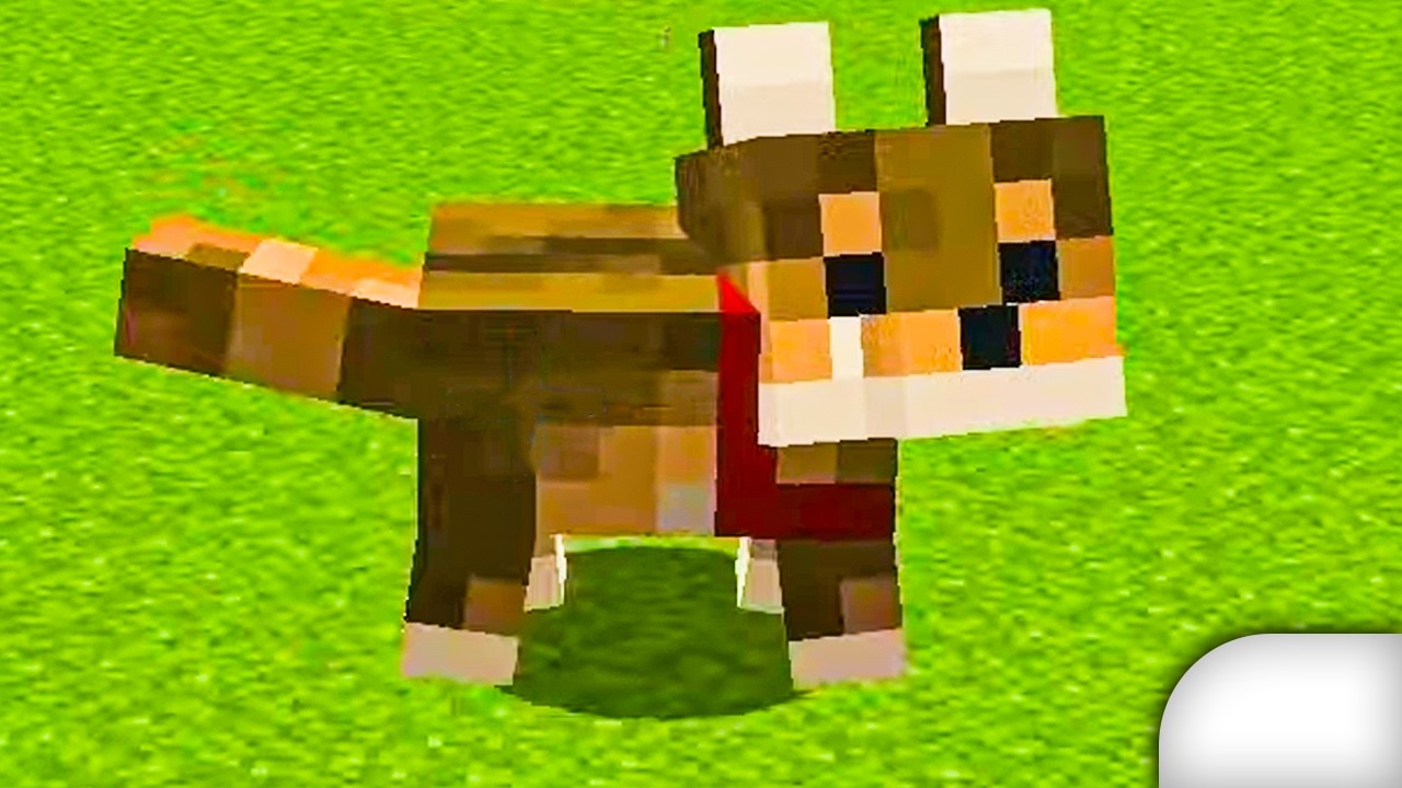 The Most Ferocious Dog