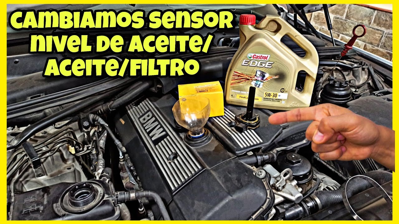 Guía Práctica: Cambio De Sensor De Nivel De Aceite En Bmw | Vegacar engine