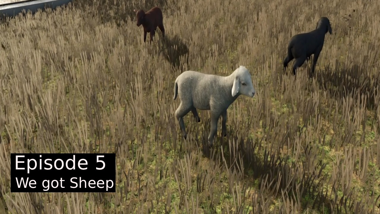 Farming Simulator 2025 Episode 5: We got Sheep
