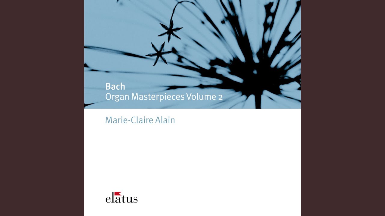 Trio Sonata No. 3 in D Minor, BWV 527: III. Vivace