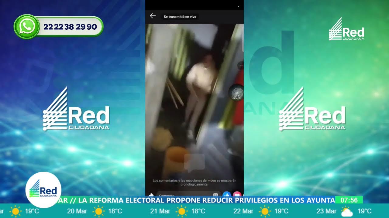 BUSCAN A MITTENS la Gatita extraviada tras accidente Periférico.