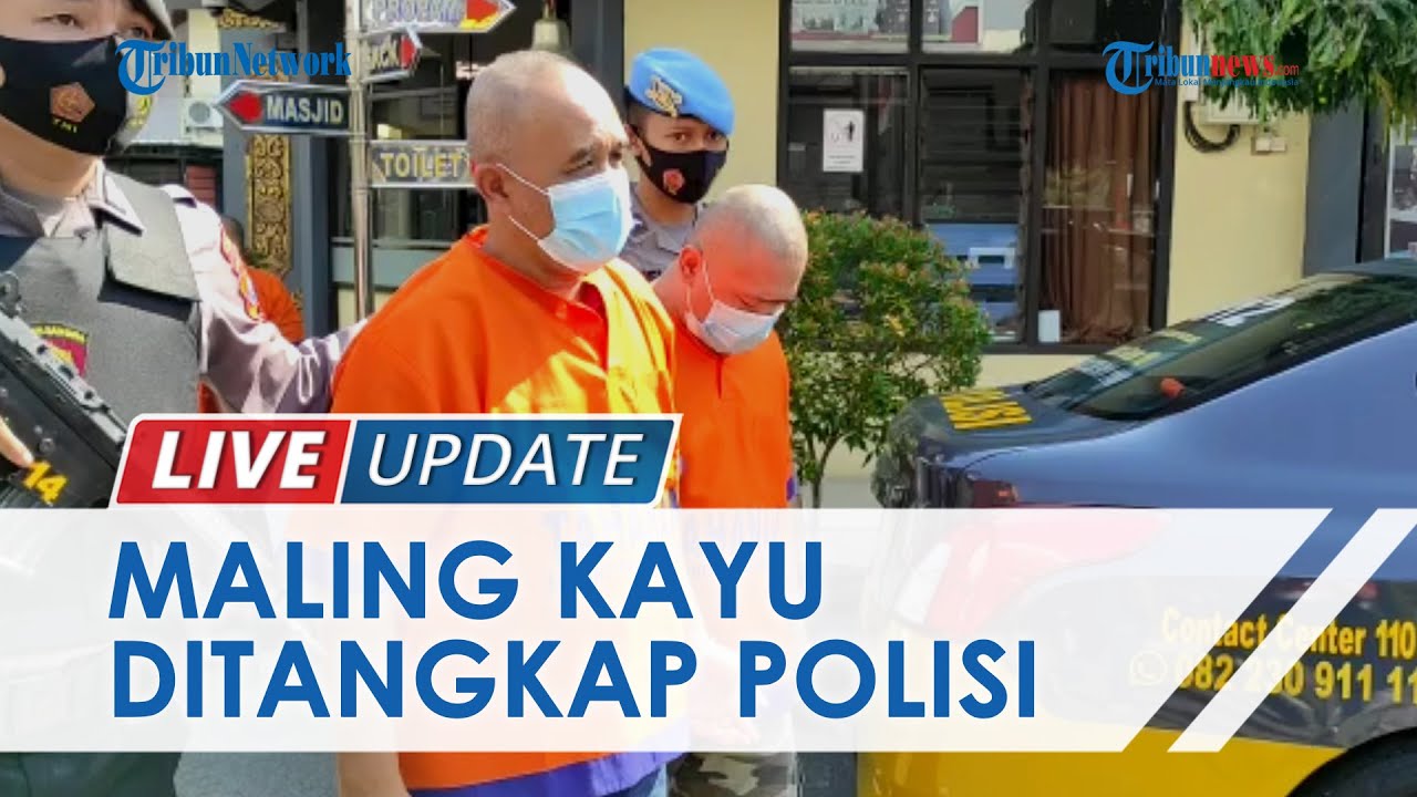 5 Tersangka Pencurian Kayu di Ponorogo Ditangkap, Beraksi Malam Hari Pakai Alat Manual