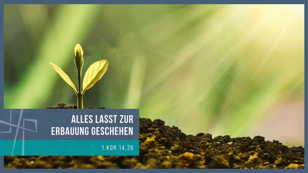 Alles lasst zur Erbauung geschehen! | Yuri Mark