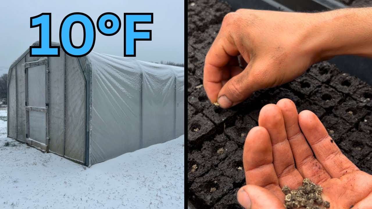 How to Start Seeds in Winter (COMPLETE GUIDE)