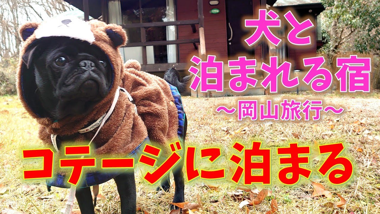 【犬と泊まれる宿：コテージ】森の熊ひゅんが行く！【岡山県真庭市湯原温泉：森のホテルロシュフォール】