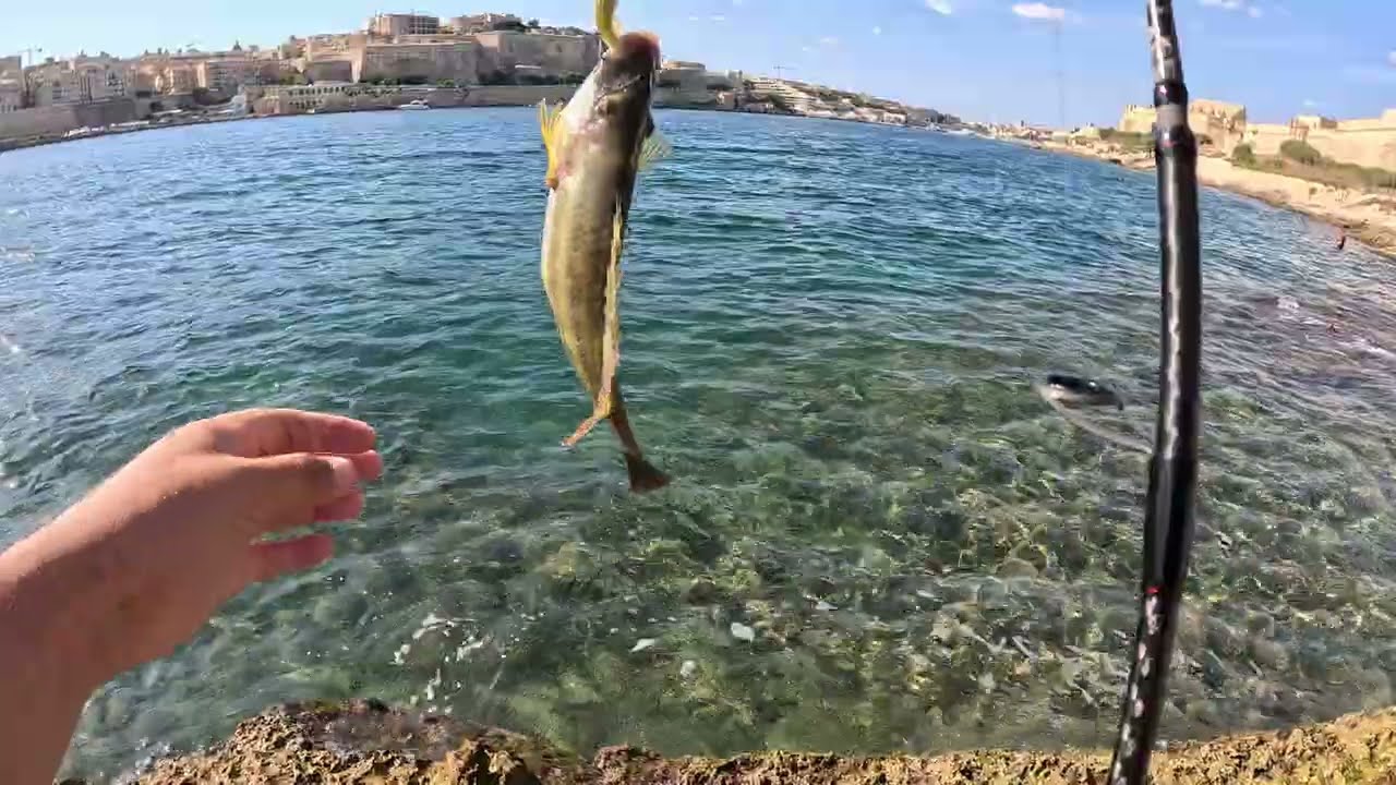 Jigging in the Mediterranean Sea - földközi tengeri pergetés Máltán / 4k  /