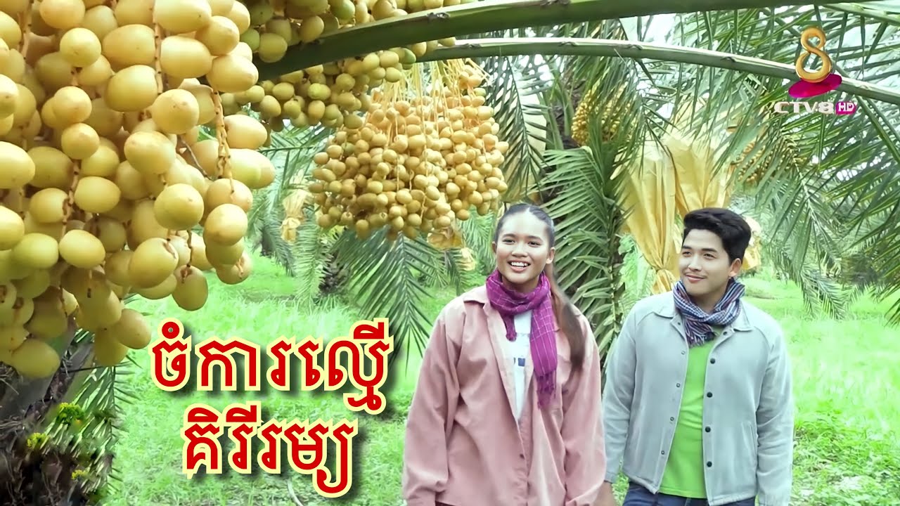 រដូវប្រមូលផលផ្លែល្មើ
