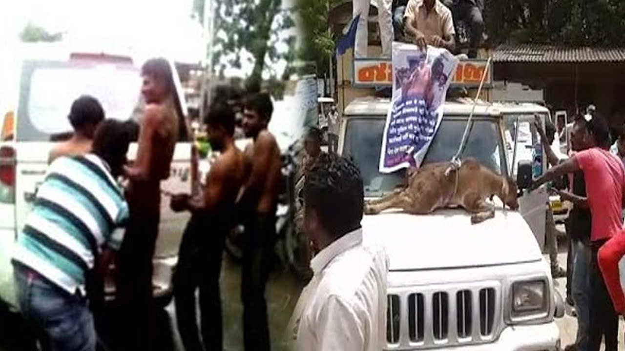 Surendranagar Dalit Society Protests Outside Collector's Office In Ahemadabad | Cyclone Tauktae
