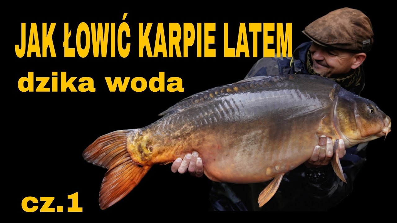 Łowisko Dzika Woda cz. 1 / Vlog #21