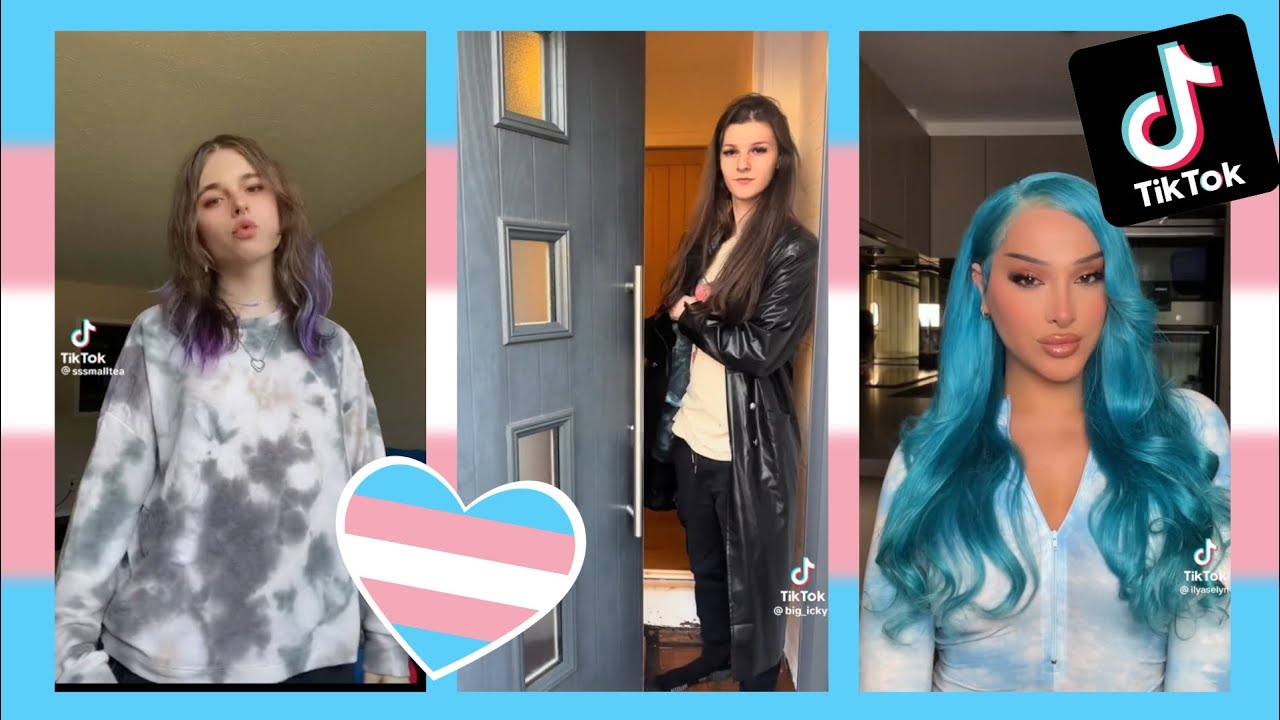 Trans TikToks Compilation #13