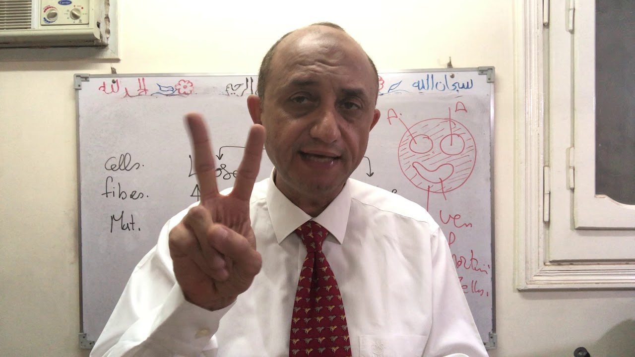 Connective tissue types 1st y