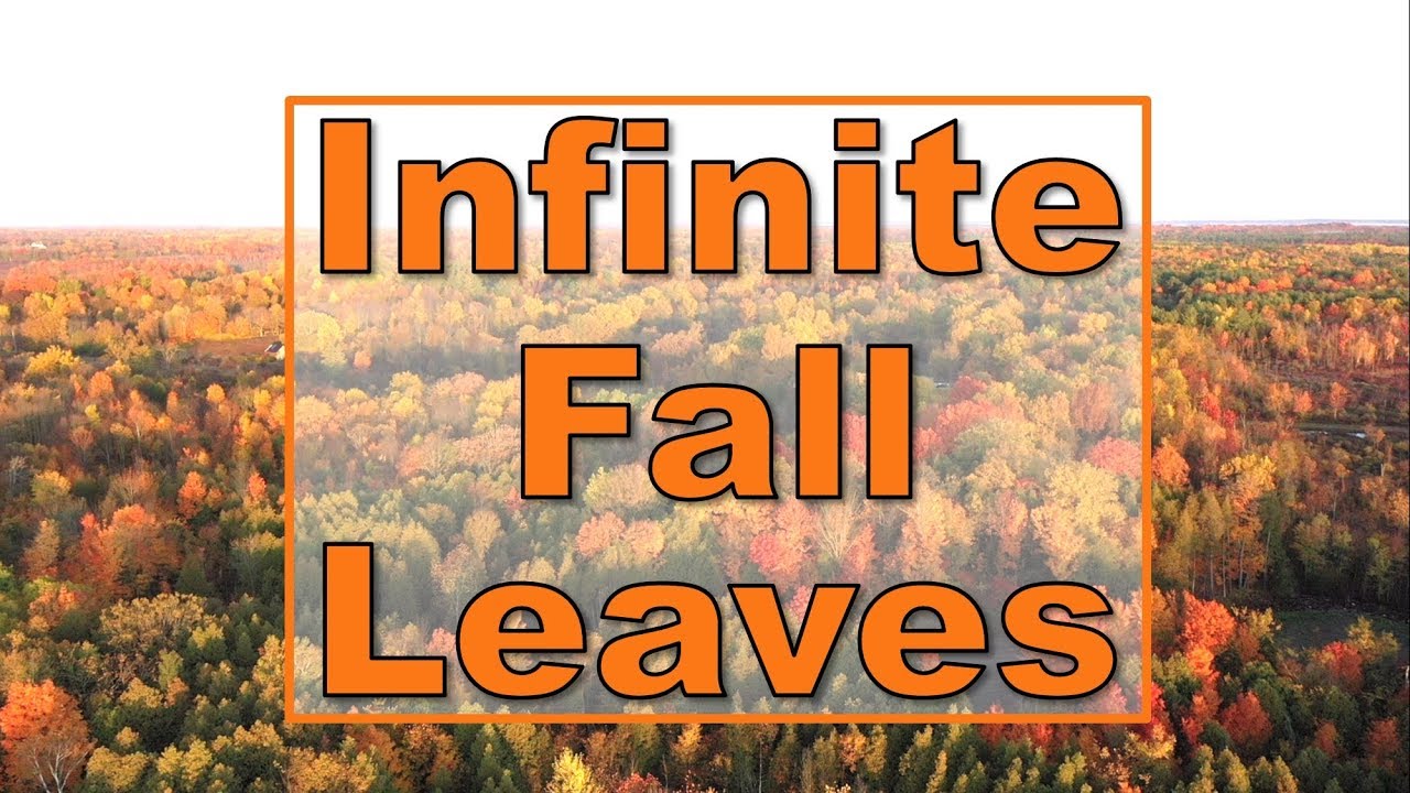 Infinite Fall Colour Autumn Leaves on Beaver Lake 2019