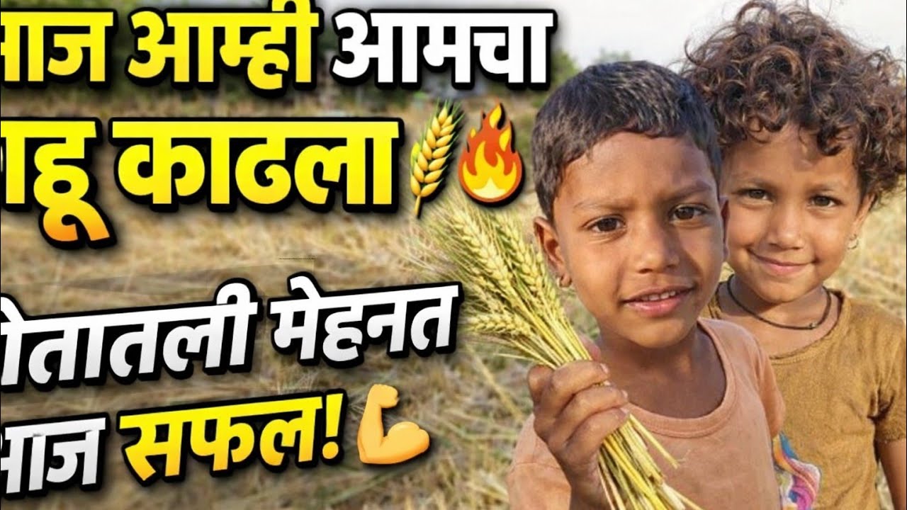 आज आमचा गहू काढणं झाला. आणि आम्ही पळसाचे फुल तोडले नवीन प्रयोग.