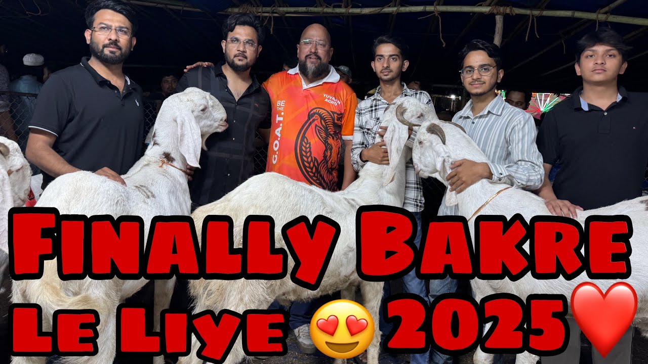 Finally Sauda ho gya 2025 😍😍| Qurbani k Bakre Le liye❤️| Jama Masjid Bakra Mandi ✨#qazigoatfarm