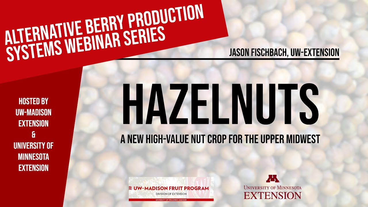 Hazelnuts: A New High-Value Nut Crop for the Upper Midwest