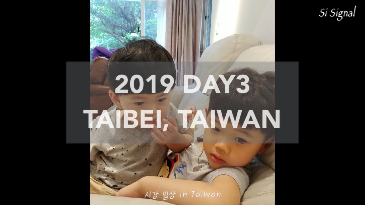 [시그널 시강 여행] 대만🇹🇼 Day3 뚜벅이 먹방투어 가족 여행 셋째날 #대만여행 #대만여행브이로그 #해외여행 #가족여행브이로그 #타이베이 #타이베이여행 #아기랑해외여행