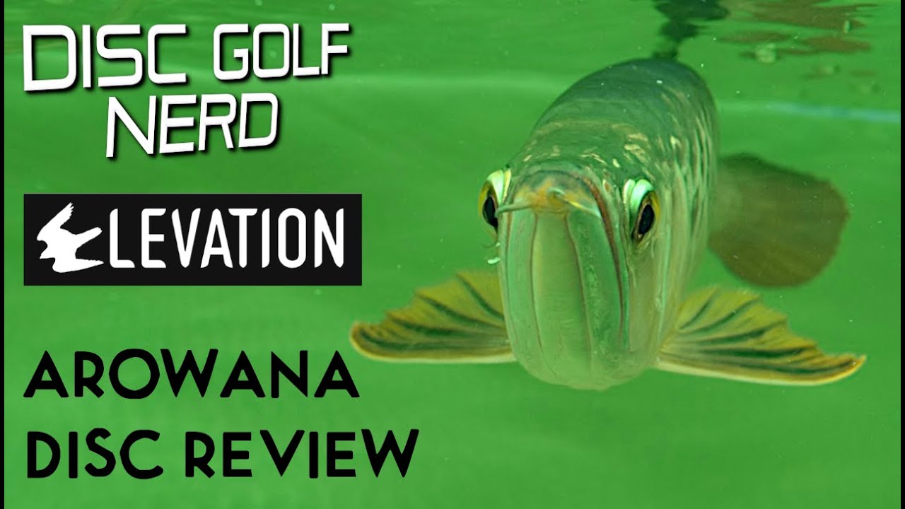 Elevation Discs Arowana Disc Golf Disc Review - Disc Golf Nerd