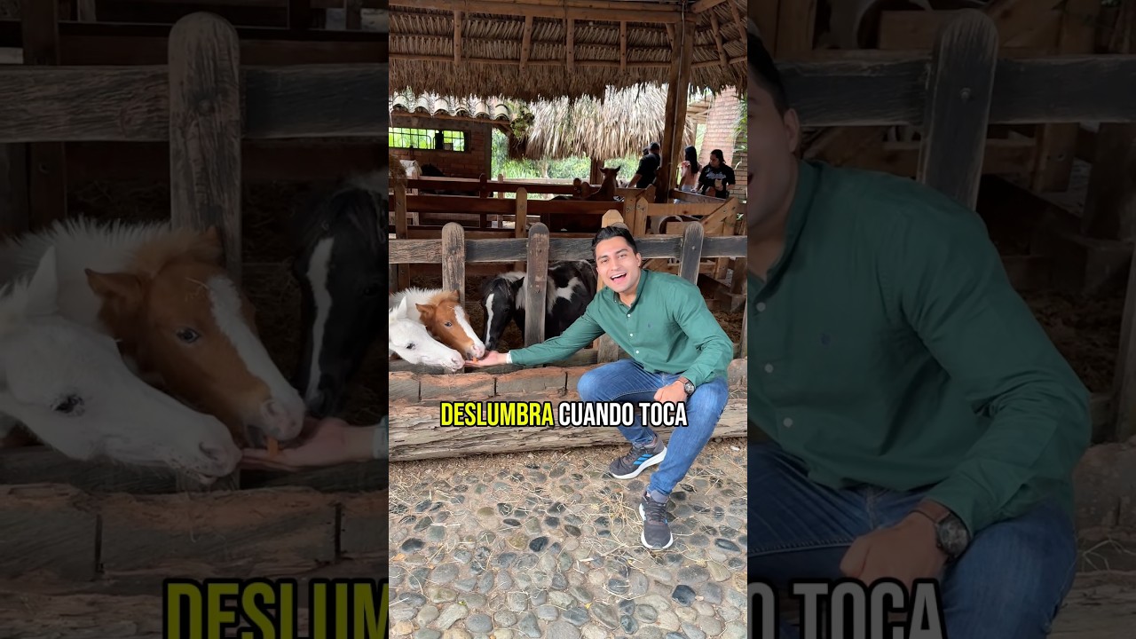 La vida es m&aacute;s bonita con las cosas sencillas #vidasencilla #musicainspiradora #energiapositiva